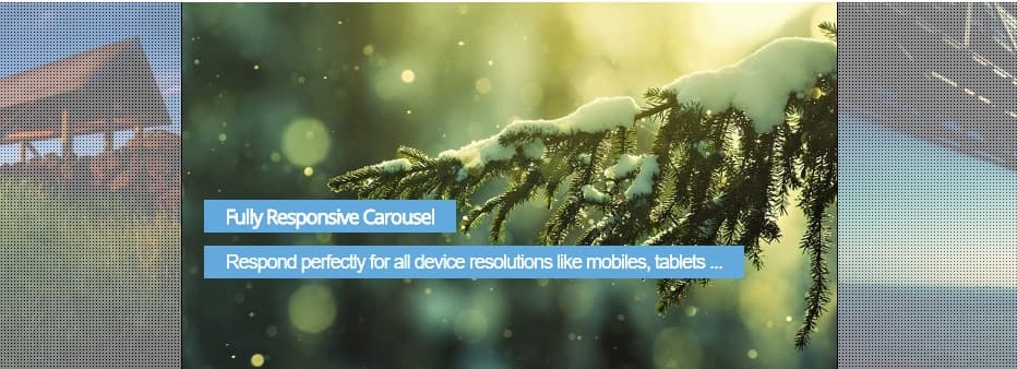 Vina Carousel Image Slider
