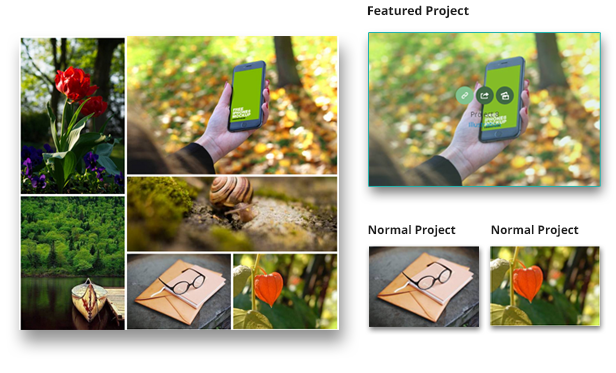 portfolio Featured Project