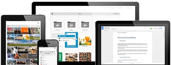 google drive wordpress